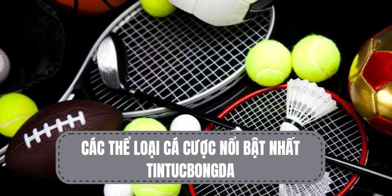 Tintucbongda