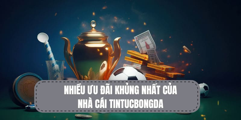 Tintucbongda